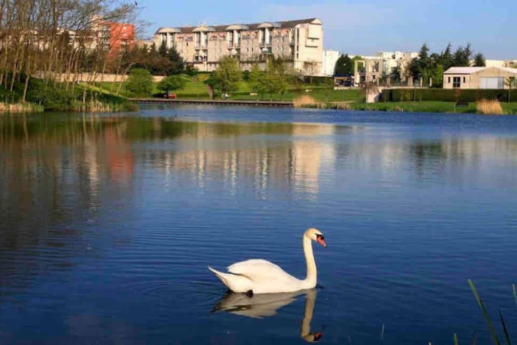 Tres Bel Appartement Entre Paris Et Disneyland Лонь Экстерьер фото